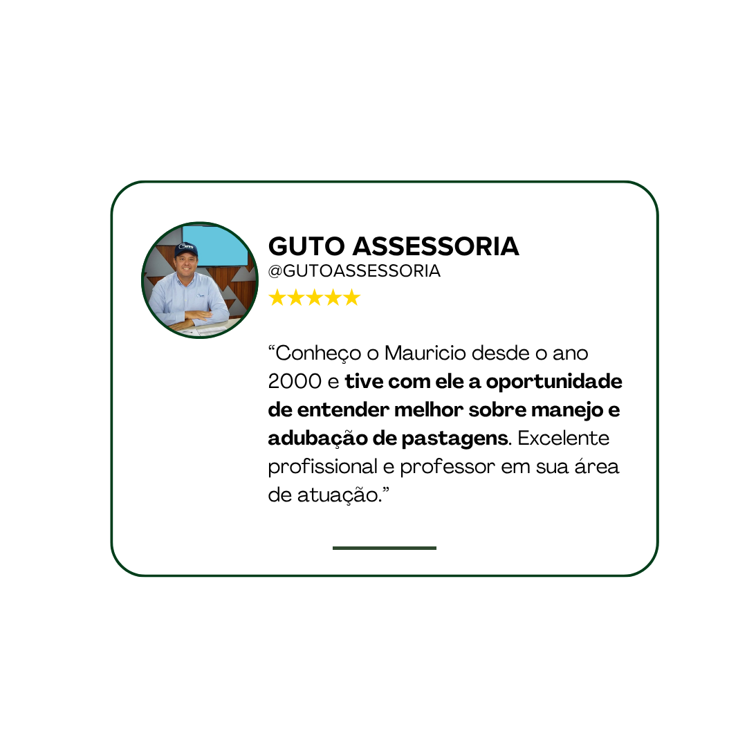 Guto Assessoria